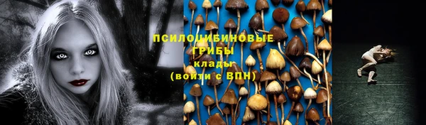 герыч Осташков