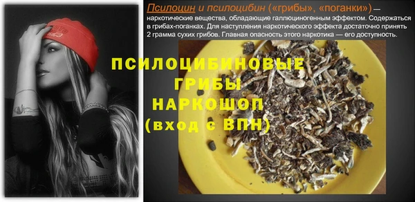 мяу мяу мука Елизово