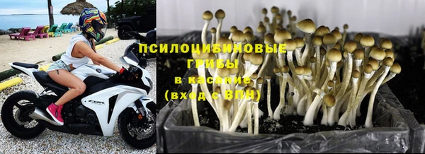 марки lsd Ельня
