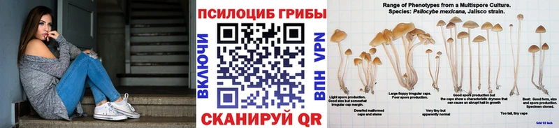 Псилоцибиновые грибы Magic Shrooms  Калязин 